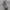Head Sportswear Casual Puffer jacket Pria gray photo 8