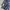 Vans Streetwear Sportswear Short Pria multicolor photo 4