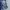 Vans Streetwear Sportswear Short Pria multicolor photo 3
