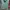 Replay Streetwear Hoody Pria green photo 3