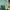 Replay Streetwear Hoody Pria green photo 4
