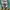 Replay Streetwear Hoody Pria green photo 8