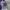 Japanese brand Y2K T-shirt Pria gray photo 1