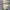thisisneverthat Streetwear Casual Hoody Pria gray photo 5