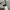thisisneverthat Streetwear Casual Hoody Pria gray photo 4