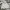 thisisneverthat Streetwear Casual Hoody Pria gray photo 1