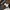 DC Shoes Casual Hat Pria white black photo 2