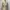 Vintage Coquette Babydoll dress Wanita cream tan photo 3