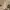 Charles and Keith Casual Handbag Wanita tan brown photo 4