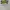 Ikea Streetwear Y2K Hoody Pria white photo 1