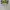 Ikea Streetwear Y2K Hoody Pria White