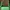 Casual Shoulder bag Wanita green photo 1