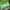 Casual Shoulder bag Wanita green photo 6