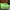 Casual Shoulder bag Wanita green photo 4
