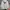Japanese brand Streetwear Luxury Hoody Pria white photo 3