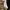 Zoo York Streetwear Skater Hoody Pria multicolor black photo 6
