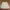 Casual Sweatshirt Pria khaki photo 1