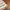 Casual Sweatshirt Pria khaki photo 5