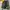 Vintage Biker Windbreaker Pria yellow black photo 8