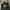 Vintage Biker Windbreaker Pria yellow black photo 2