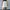 Sportswear Mini skirt Wanita white photo 6