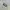 Sportswear Mini skirt Wanita white photo 4