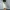 Sportswear Mini skirt Wanita white photo 7