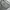 Sportswear Mini skirt Wanita multicolor photo 5