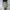Sportswear Mini Skirt Wanita Multicolor