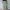 Sportswear Mini skirt Wanita multicolor photo 2