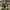 Salomon Gorpcore Casual Sneakers Pria yellow black photo 4