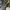 Salomon Gorpcore Casual Sneakers Pria yellow black photo 6