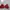 Vintage Bralette Wanita red photo 2