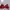 Vintage Bralette Wanita Red