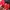 Vintage Bralette Wanita red photo 6