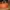 Miu Miu Y2K Casual Handbag Wanita orange photo 1