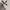 Champion Streetwear Y2K Sweatshirt Pria multicolor black photo 1