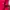 Covernat Skater Sportswear T-shirt Pria red pink photo 6