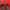 Outerwear Kids red photo 5
