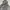 Russell Athletic Streetwear Hoody Pria Gray