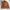 Carhartt Luxury Casual Denim Jacket Pria Brown