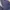 Dunlop Casual Windbreaker Pria white navy photo 7
