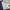 Dunlop Casual Windbreaker Pria white navy photo 5