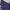 Dunlop Casual Windbreaker Pria white navy photo 6