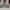Converse Casual Sneakers Pria cream photo 5