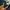 Dickies Streetwear Skater Casual pants Pria navy photo 4