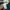 Dickies Streetwear Skater Casual pants Pria navy photo 5