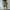 Sportswear Mini skirt Wanita brown photo 2