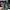 Adidas Casual Casual shoe Pria green photo 2
