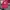 J.Lindeberg Sportswear Casual Hat Pria red photo 1
